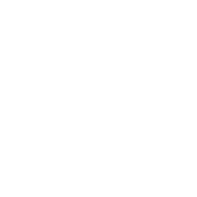 Digital 21